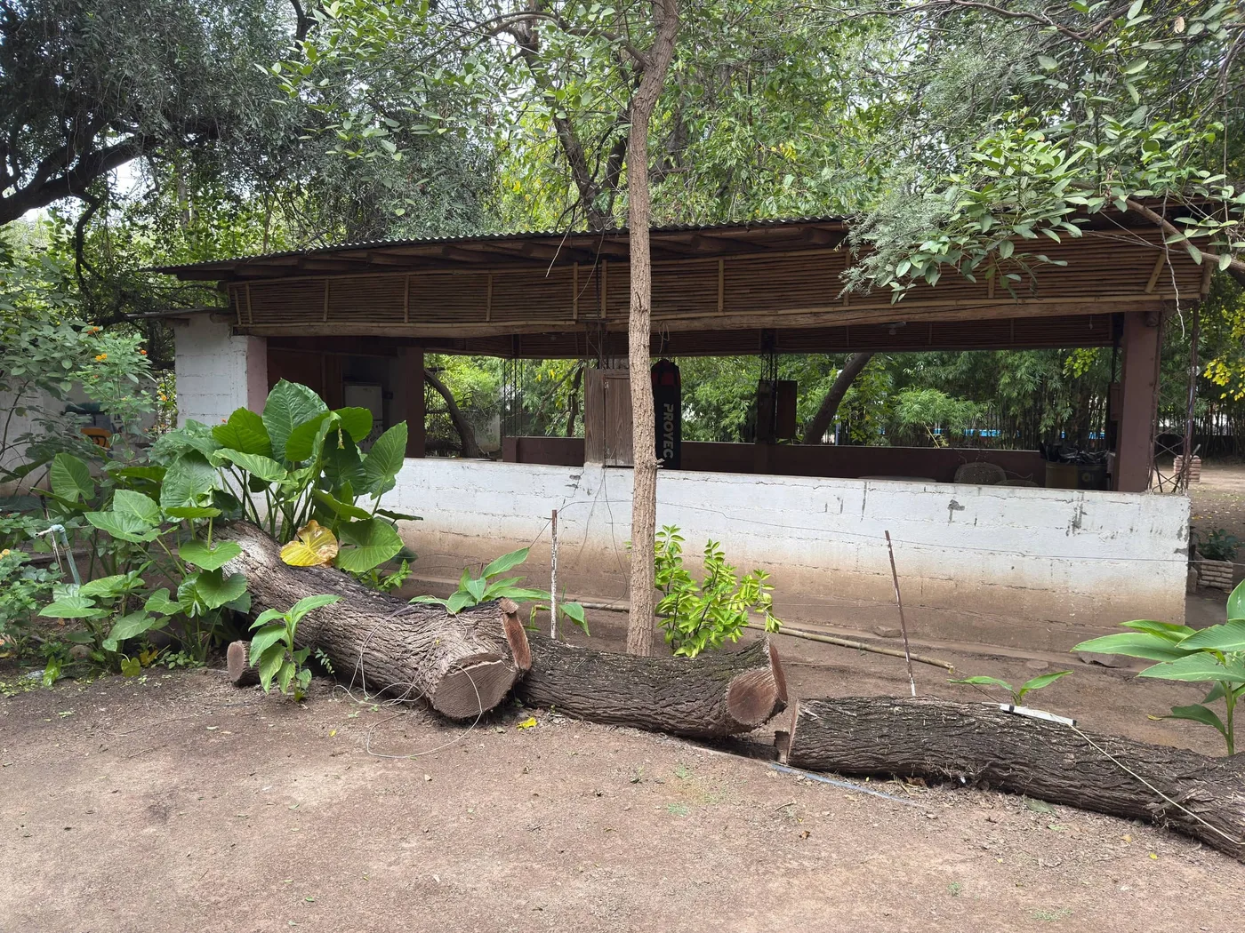 Casa con quincho y parque amplio, foto 6