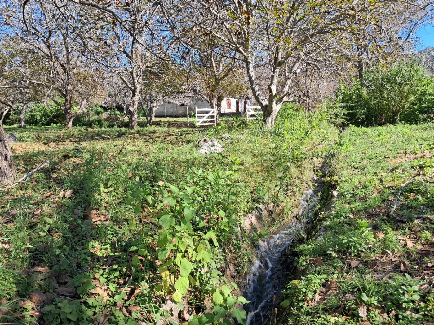 Casa en venta, foto 2