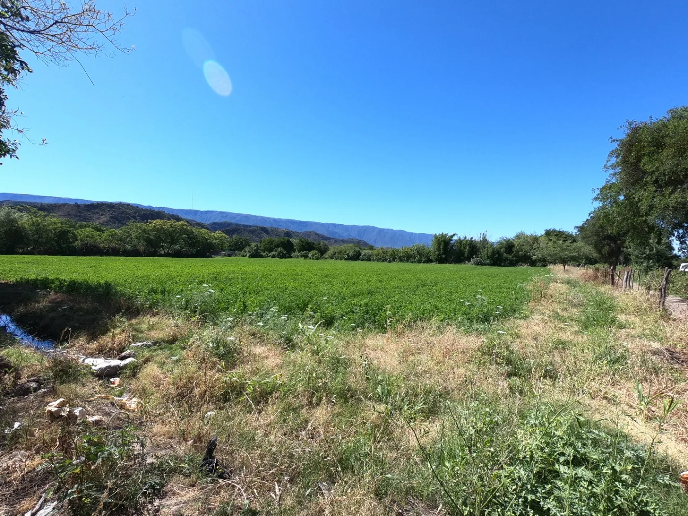 Lote de 11.585 m² en la falda de san antonio, foto 3