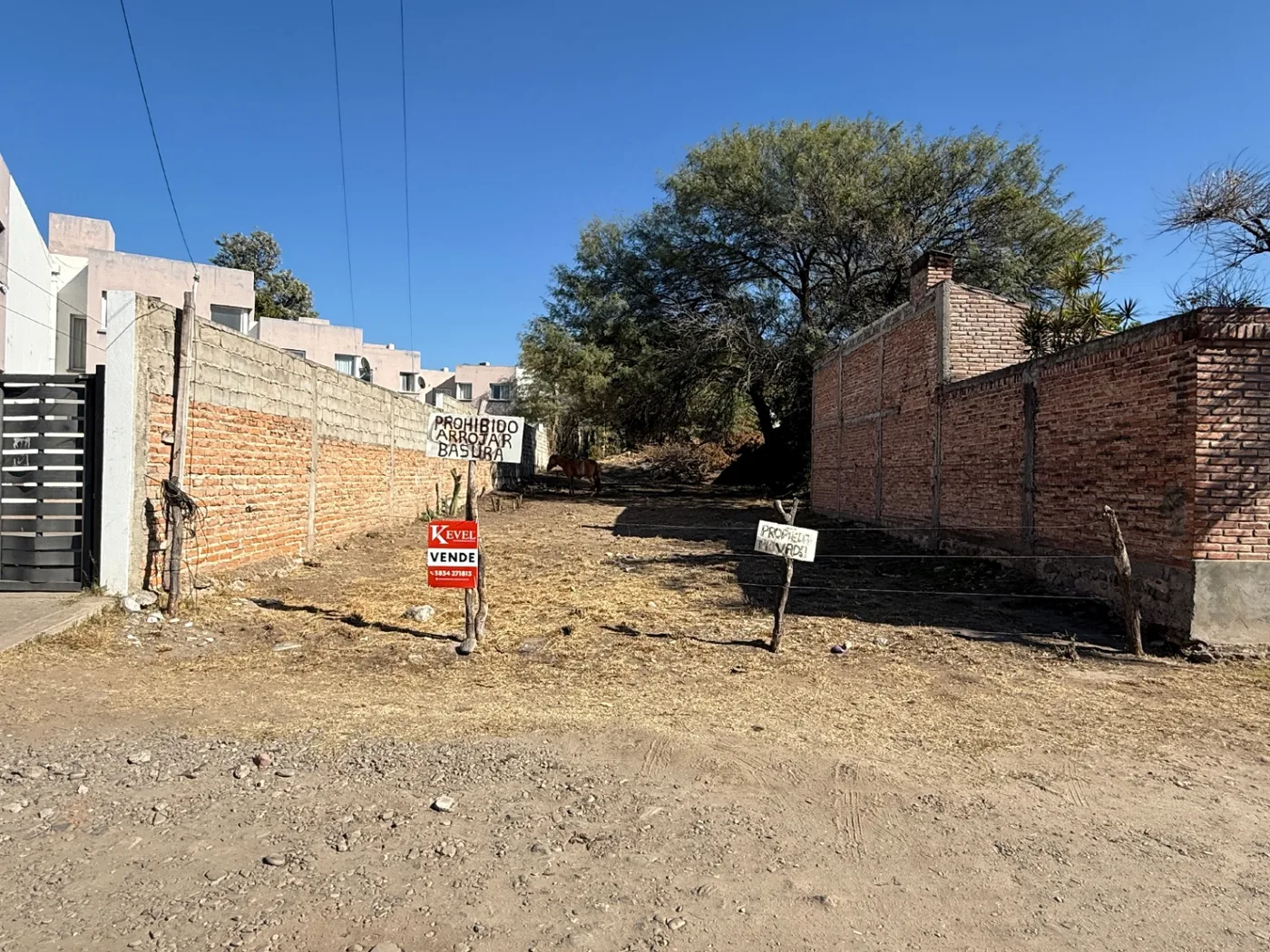 Terreno a 20m de av. Ocampo, foto 2