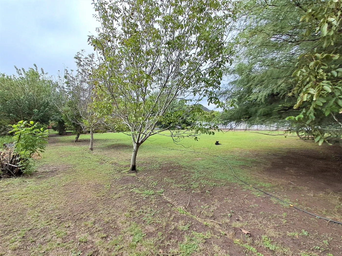Casa en venta de 3 dormitorios c/ cochera, foto 11