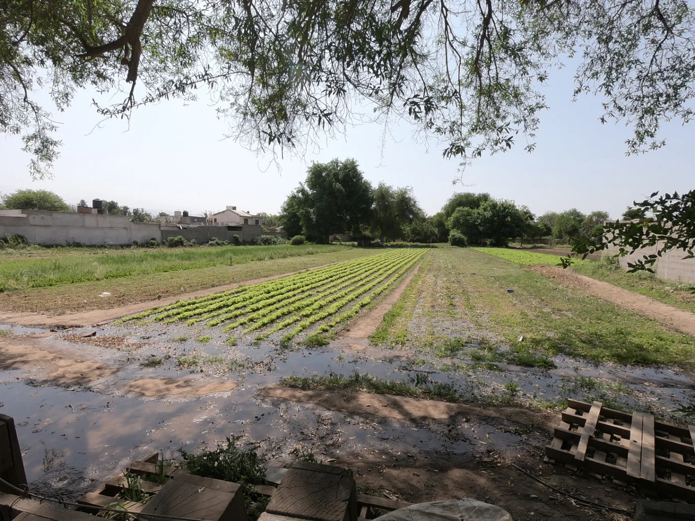 Terreno / Lote en venta de 789 m², foto 2
