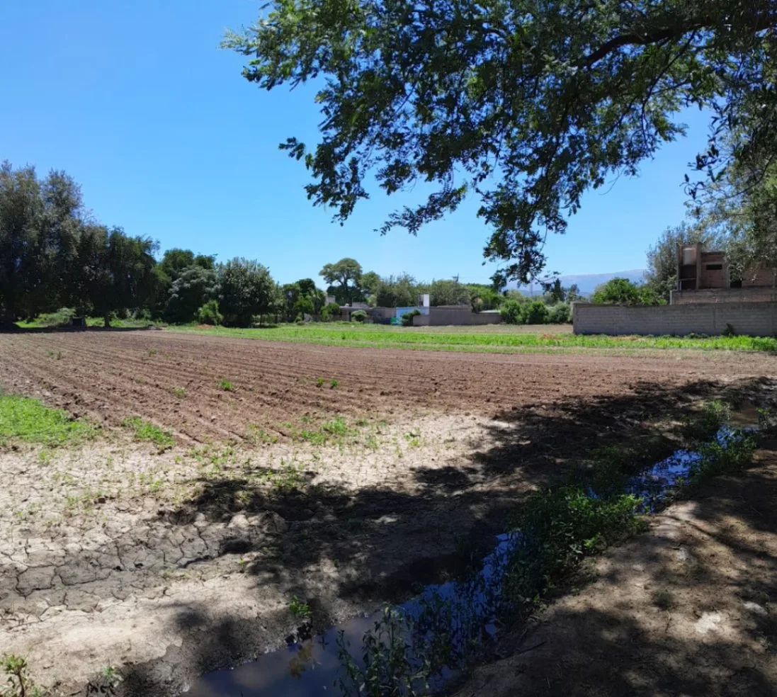 Terreno / Lote en venta de 789 m², foto 3