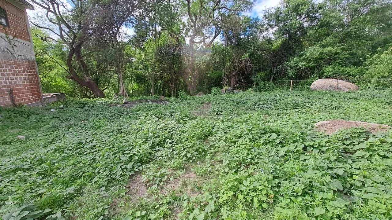 Terreno / Lote en venta de 524 m² ubicado en El Rodeo, foto 3