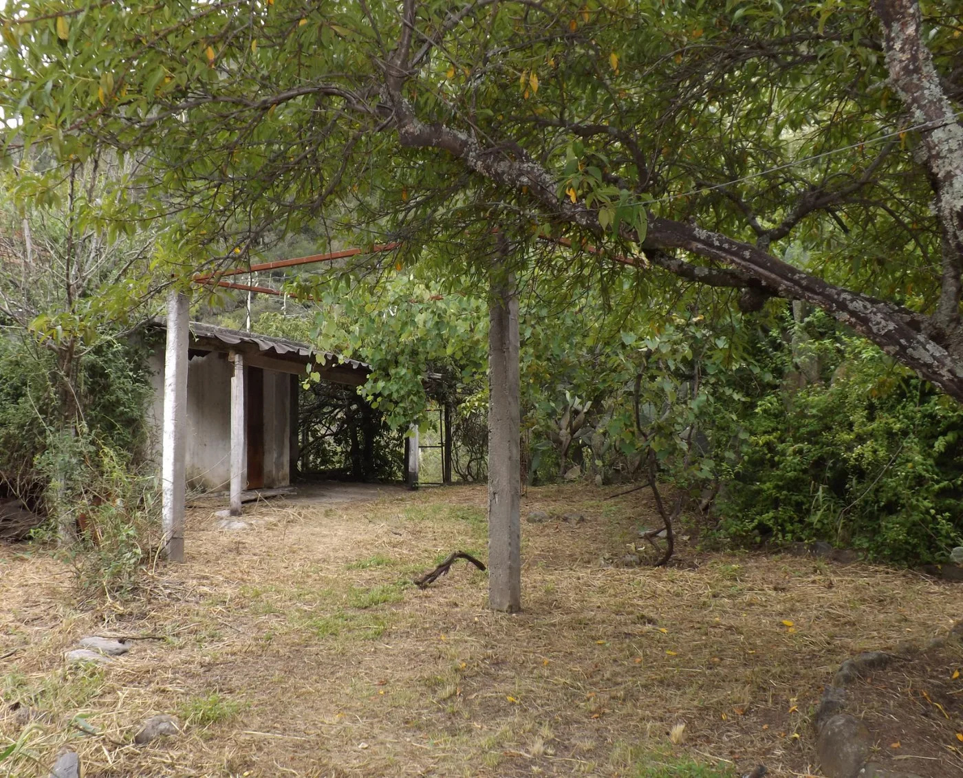 Casa de 3 dormitorios camino al rodeo, foto 4
